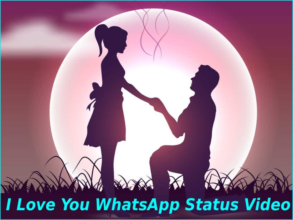 I Love You WhatsApp Status Video