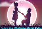 I Love You WhatsApp Status Video