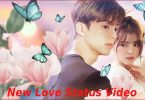 New Love Status Video